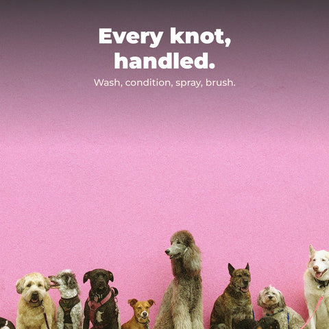 No Knots Complete Dog Detangler Set: key benefit card with dog photography.