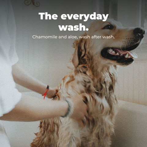 Nourish Natural Dog Shampoo: key benefit card with dog photography.
