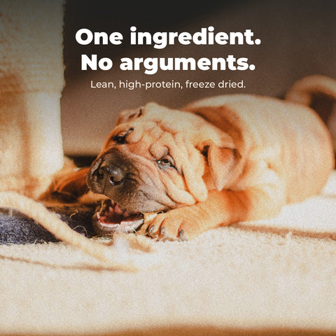Freeze Dried Chicken Breast Treats: key benefit card with dog photography.