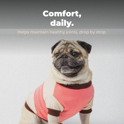 Comfort, daily. Helps maintain healthy joints, drop by drop. Rå Hund joint and mobility drops benefit card