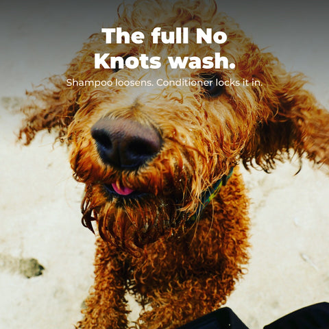 No Knots Dog Shampoo & Conditioner Set: key benefit card with dog photography.