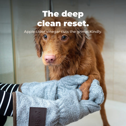 Clarify Organic Dog Shampoo: key benefit card with dog photography.