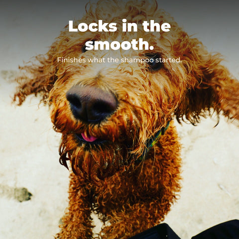 No Knots Detangling Dog Conditioner: key benefit card with dog photography.