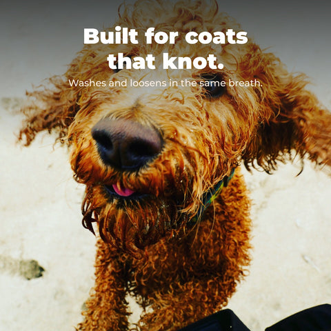 No Knots Detangling Dog Shampoo: key benefit card with dog photography.