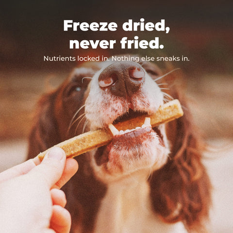 Organic Freeze Dried Beef Liver Treats: key benefit card with dog photography.