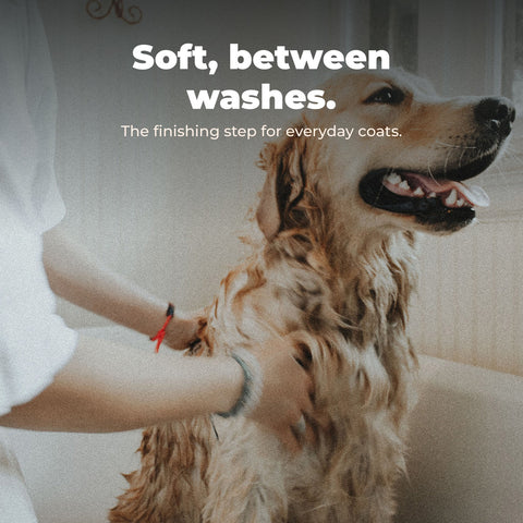 Nourish Natural Dog Conditioner: key benefit card with dog photography.