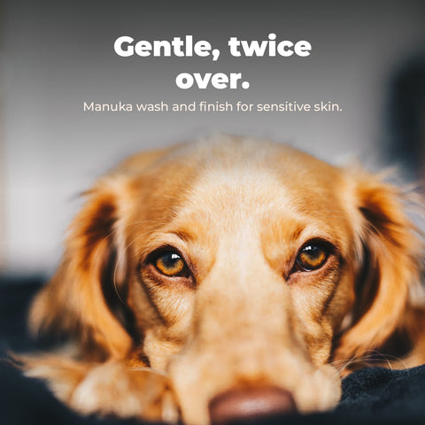 Puppy & Sensitive Dog Shampoo & Conditioner Set: key benefit card with dog photography.